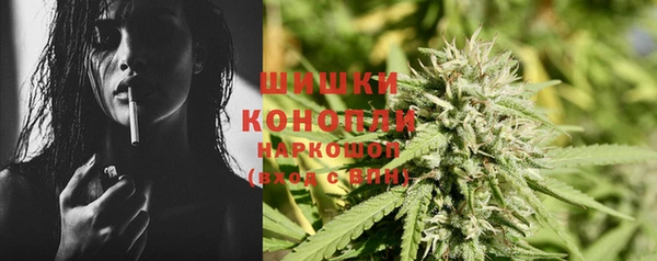сатива Абинск