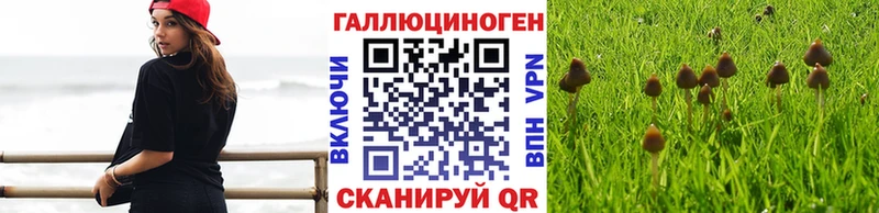 Галлюциногенные грибы GOLDEN TEACHER  МЕГА вход  Советский  как найти наркотики 