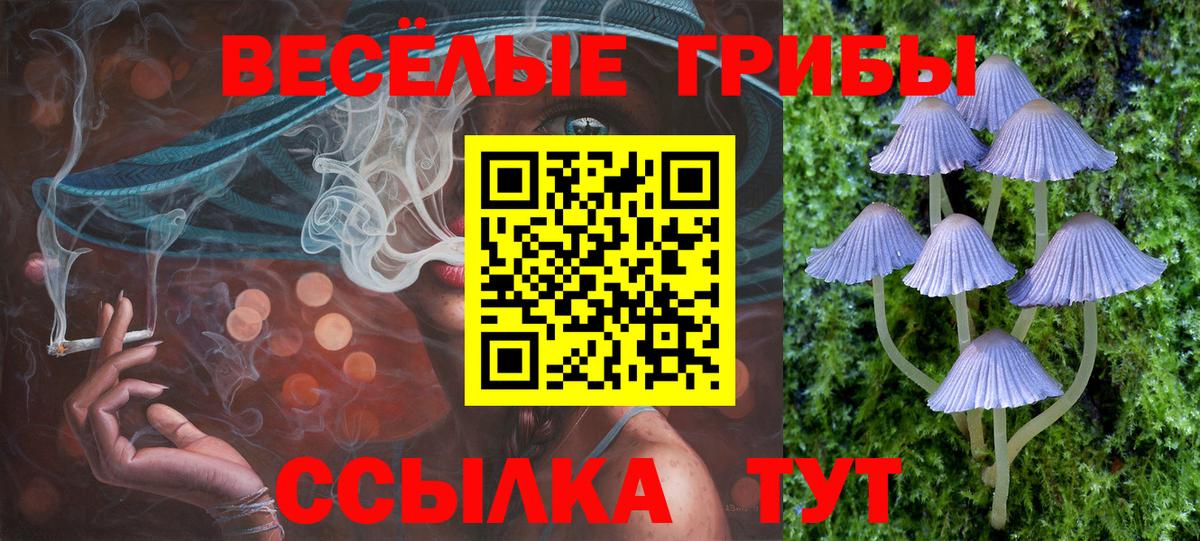Галлюциногенные грибы MAGIC MUSHROOMS  Галлюциногенные грибы GOLDEN TEACHER  Вход с VPN  Советский 