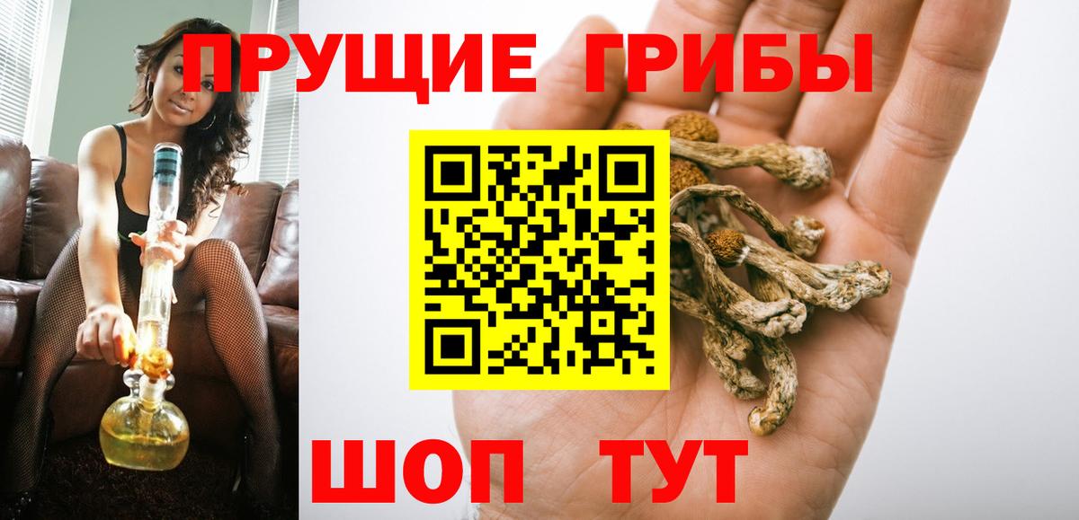 Галлюциногенные грибы Psilocybe Советский