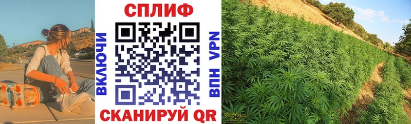 Бошки марихуана THC 21%  Советский 